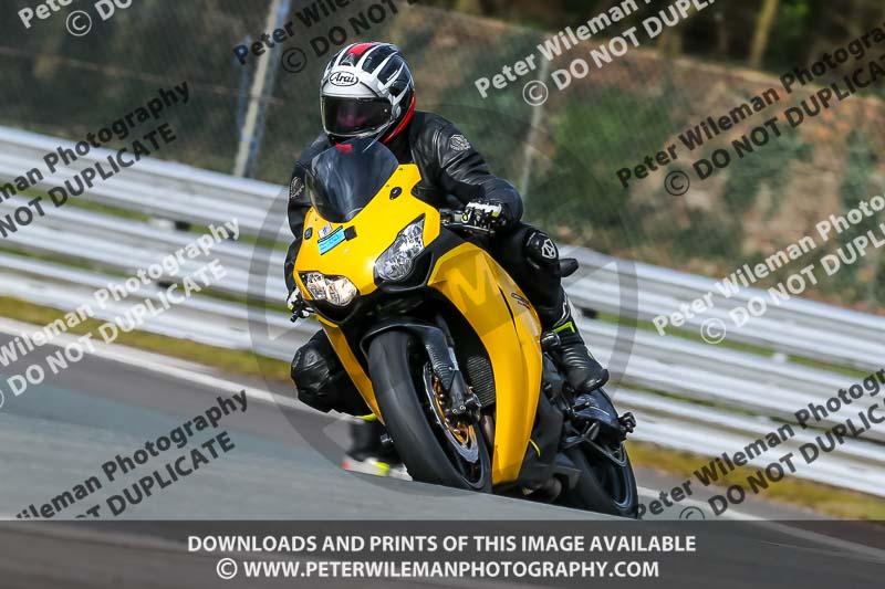 Oulton Park 21st March 2020;PJ Motorsport Photography 2020;anglesey;brands hatch;cadwell park;croft;donington park;enduro digital images;event digital images;eventdigitalimages;mallory;no limits;oulton park;peter wileman photography;racing digital images;silverstone;snetterton;trackday digital images;trackday photos;vmcc banbury run;welsh 2 day enduro